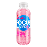 Focuswater Care Mirabelle Rhabarber PET 6x50cl